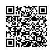 QR Code (код быстрого отклика)