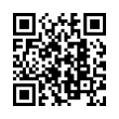 QR Code (код быстрого отклика)