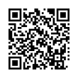 QR Code (код быстрого отклика)