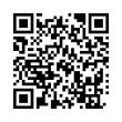 QR Code (код быстрого отклика)