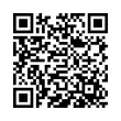 QR Code (код быстрого отклика)