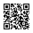 QR Code (код быстрого отклика)
