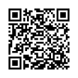QR Code (код быстрого отклика)