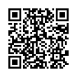 QR Code (код быстрого отклика)
