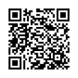 QR Code (код быстрого отклика)