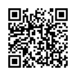 QR Code (код быстрого отклика)