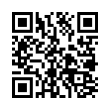 QR Code (код быстрого отклика)