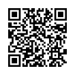 QR Code (код быстрого отклика)