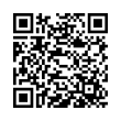 QR Code (код быстрого отклика)