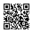 QR Code (код быстрого отклика)