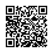 QR Code (код быстрого отклика)