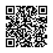 QR Code (код быстрого отклика)