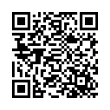 QR Code (код быстрого отклика)