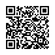 QR Code (код быстрого отклика)