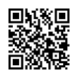 QR Code (код быстрого отклика)