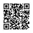 QR Code (код быстрого отклика)