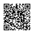 QR Code (код быстрого отклика)