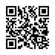 QR Code (код быстрого отклика)