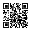 QR Code (код быстрого отклика)