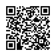 QR Code (код быстрого отклика)