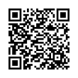 QR Code (код быстрого отклика)