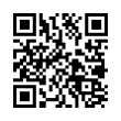 QR Code (код быстрого отклика)