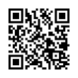 QR Code (код быстрого отклика)