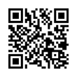 QR Code (код быстрого отклика)