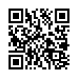 QR Code (код быстрого отклика)