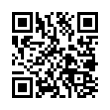 QR Code (код быстрого отклика)