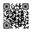 QR Code (код быстрого отклика)