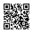 QR Code (код быстрого отклика)