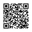 QR Code (код быстрого отклика)