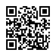QR Code (код быстрого отклика)