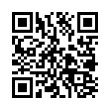 QR Code (код быстрого отклика)