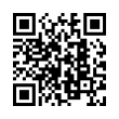 QR Code (код быстрого отклика)