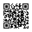 QR Code (код быстрого отклика)