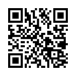 QR Code (код быстрого отклика)