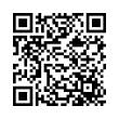 QR Code (код быстрого отклика)