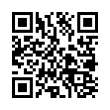QR Code (код быстрого отклика)