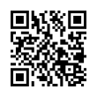 QR Code (код быстрого отклика)