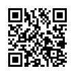 QR Code (код быстрого отклика)