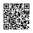 QR Code (код быстрого отклика)