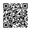 QR Code (код быстрого отклика)