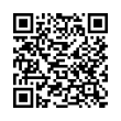 QR Code (код быстрого отклика)