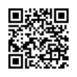 QR Code (код быстрого отклика)