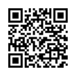 QR Code (код быстрого отклика)