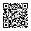 QR Code (код быстрого отклика)