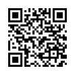 QR Code (код быстрого отклика)