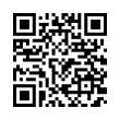 QR Code (код быстрого отклика)